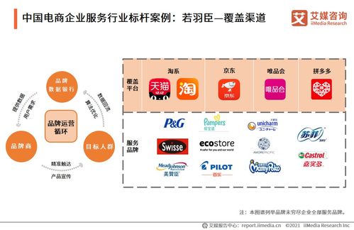 智引未来 2021年中国电商领域企业服务行业信息咨询服务深度洞察