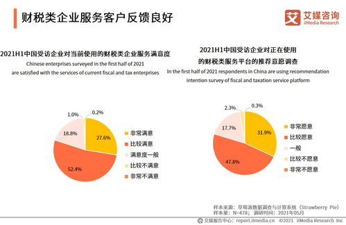 2021上半年中国财税类企业服务专题研究报告 信息咨询服务的崛起与机遇