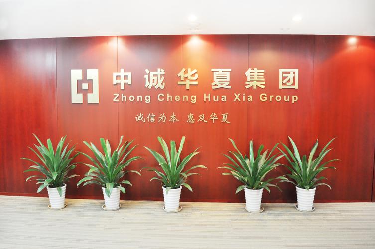 中诚华夏信息咨询集团 以专业护航，解码新时代信息咨询服务价值